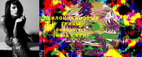 винт Балахна