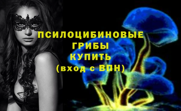 винт Балахна