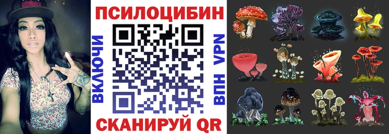 где купить   Выкса  Псилоцибиновые грибы Magic Shrooms 